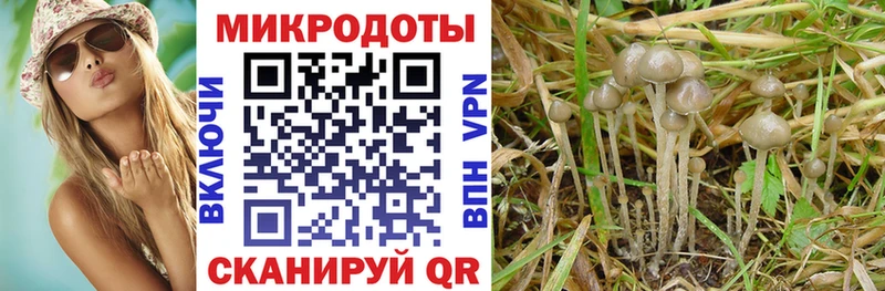 Галлюциногенные грибы ЛСД цена наркотик Киржач
